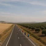 Media Maratón Solidaria La Cal y El Olivo 2025