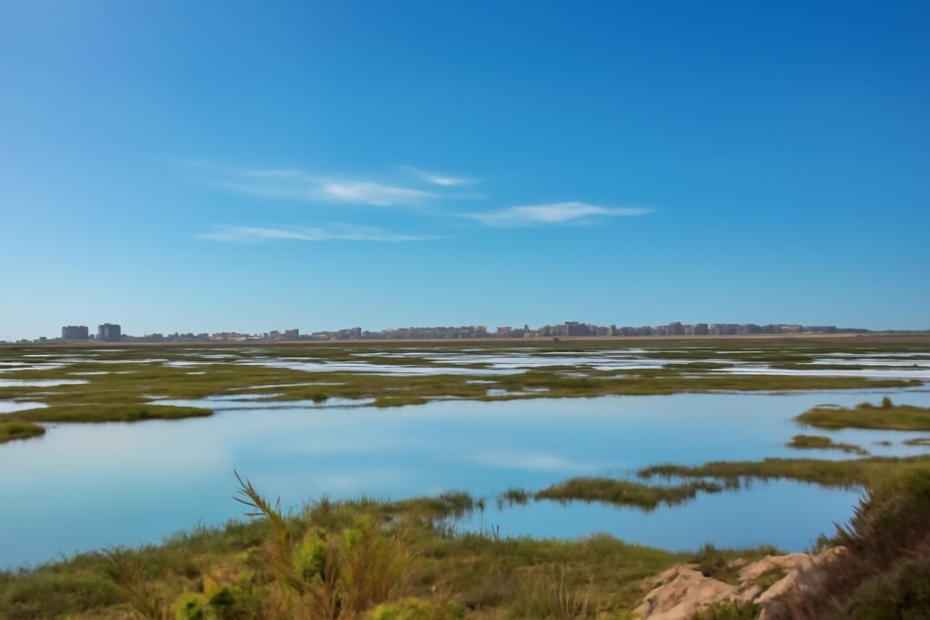 Travesía Marismas del Odiel