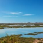 Travesía Marismas del Odiel