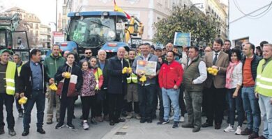 C P Villa De Ardales