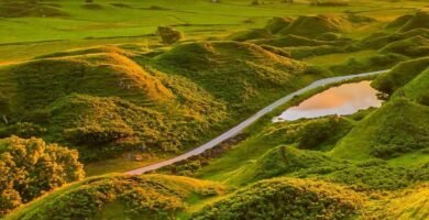 Carrera Solidaria Virgen Valle Palma Condado