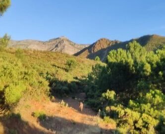 Carrera Tolox Corazon Sierra Nieves