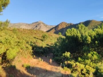 Carrera Tolox Corazon Sierra Nieves