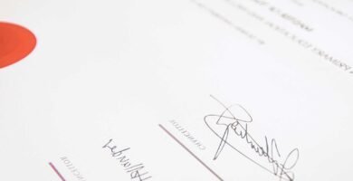 Certificado De Inscripción: Cómo Obtenerlo Y Requisitos