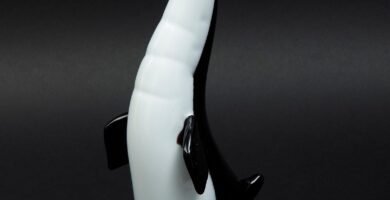 Cómo Inscribir Pingüinos: Guía De Registro Y Requisitos