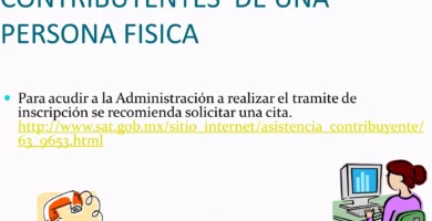 Cómo Inscribirse Al RFC En Línea: Guía Y Requisitos