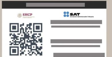 Cómo Inscribirse Al RFC: Requisitos Y Pasos