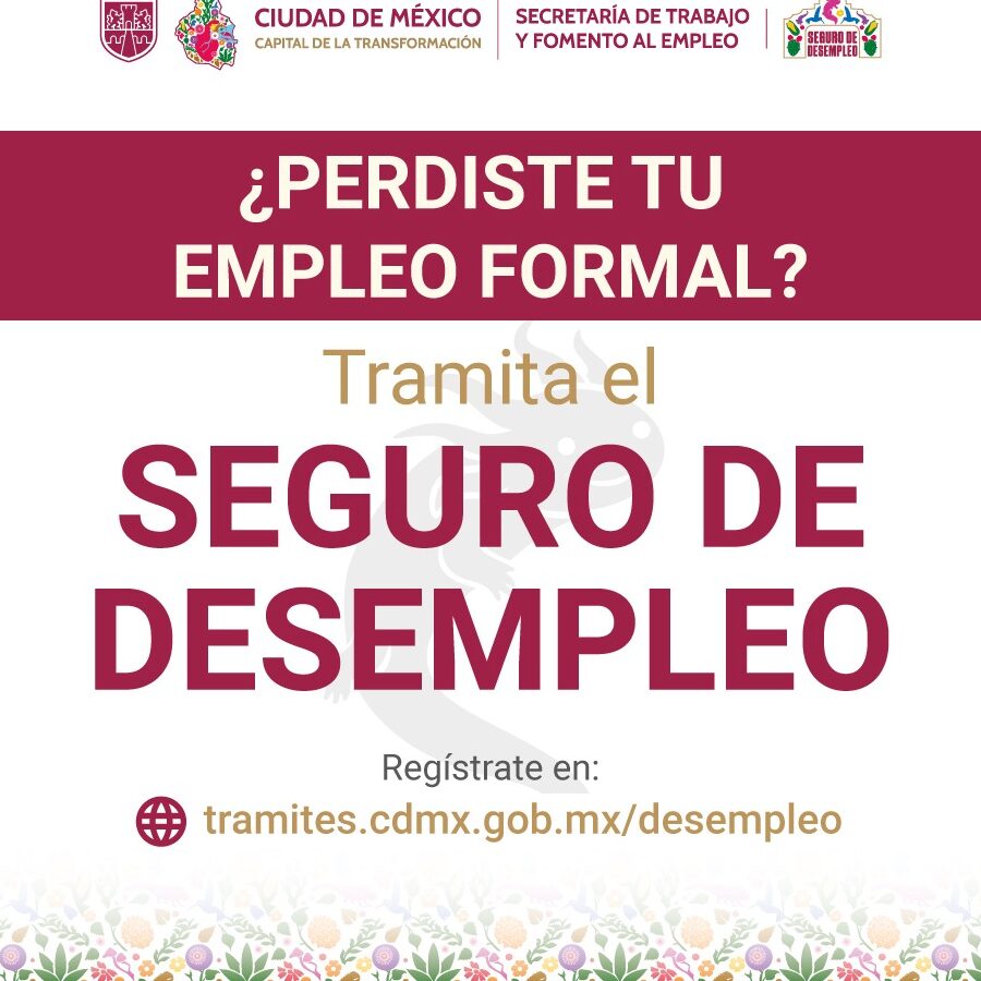 Cómo Inscribirse Al Salario Rosa: Requisitos Y Beneficios