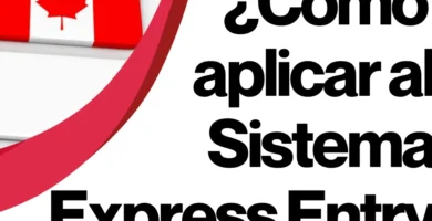 Cómo Inscribirse Como Demandante De Empleo: Guía Rápida