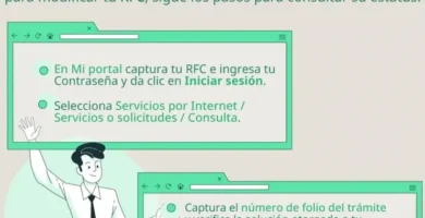 Cómo Inscribirse En El RFC Del SAT: Guía De Folio Y Requisitos