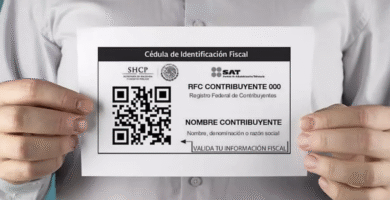 Cómo Inscribirse En El RFC: Guía Para El Registro Federal De Contribuyentes