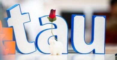 Cómo Inscribirse En Garantía Juvenil: Requisitos Y Pasos