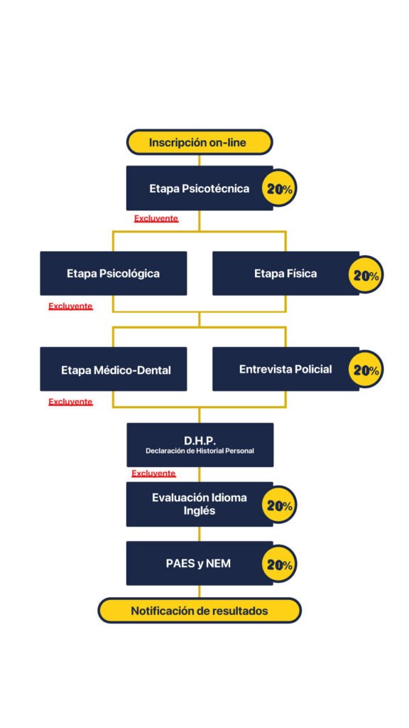 Cómo Inscribirse En La LFP: Requisitos Y Pasos