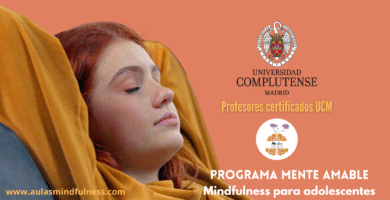 Cómo Inscribirse En La Universidad Complutense (UCM): Requisitos De Inscripción