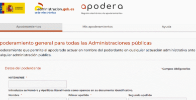 Cómo Inscribirse En REA: Requisitos Y Pasos Para Registro