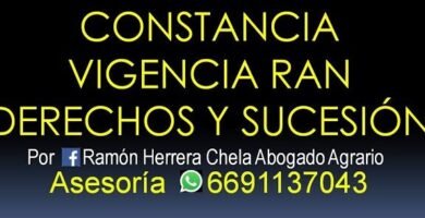 Cómo Inscribirse Y Obtener El Certificado IFREM: Guía Paso A Paso
