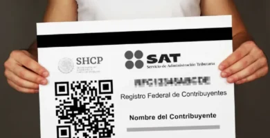 Cómo Inscribirte En El RFC Persona Física: Requisitos Y Pasos