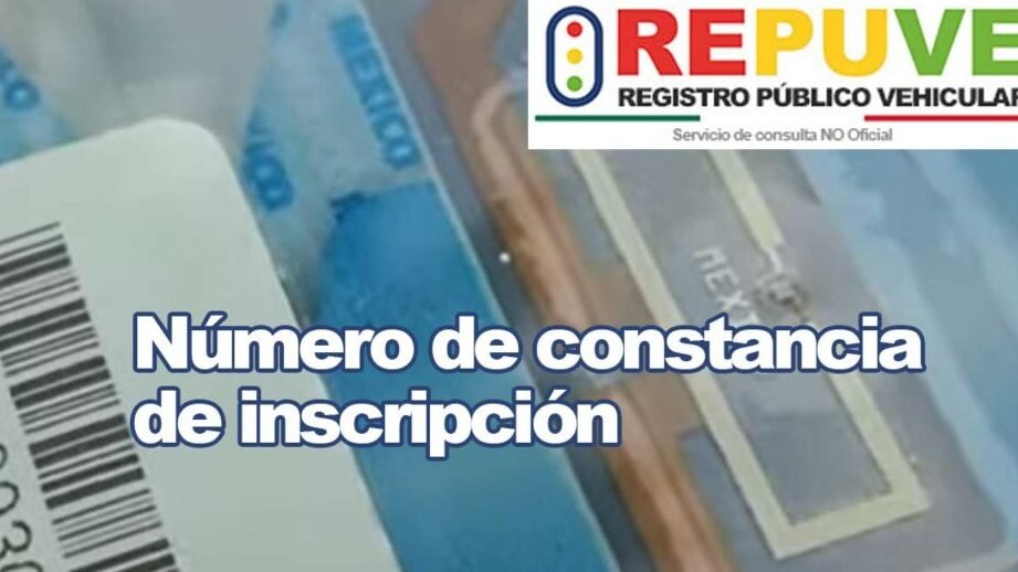 Cómo Obtener La Constancia Del NCI: Inscripción, Número Y Dónde Encontrarla