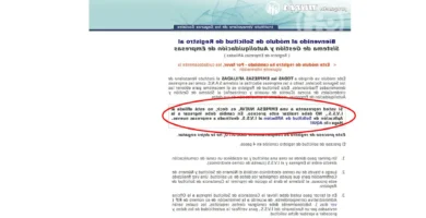 Constancia De Inscripción Del Empleador: Requisitos Y Pasos