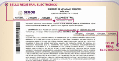 Constancia De Inscripción En REPUVE: Cómo Obtenerla Y Verificar Estatus