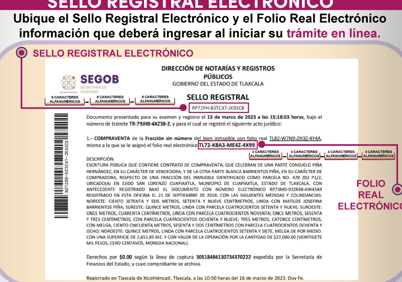 Constancia De Inscripción En REPUVE: Cómo Obtenerla Y Verificar Estatus