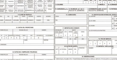 Constancia Vehicular: Guía Para Inscribirse Y Obtener El Número