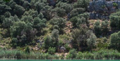 Cross Nacional Llanos Nacimiento Coin