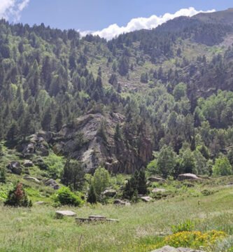 Trail Las Palomas Subida Vertical