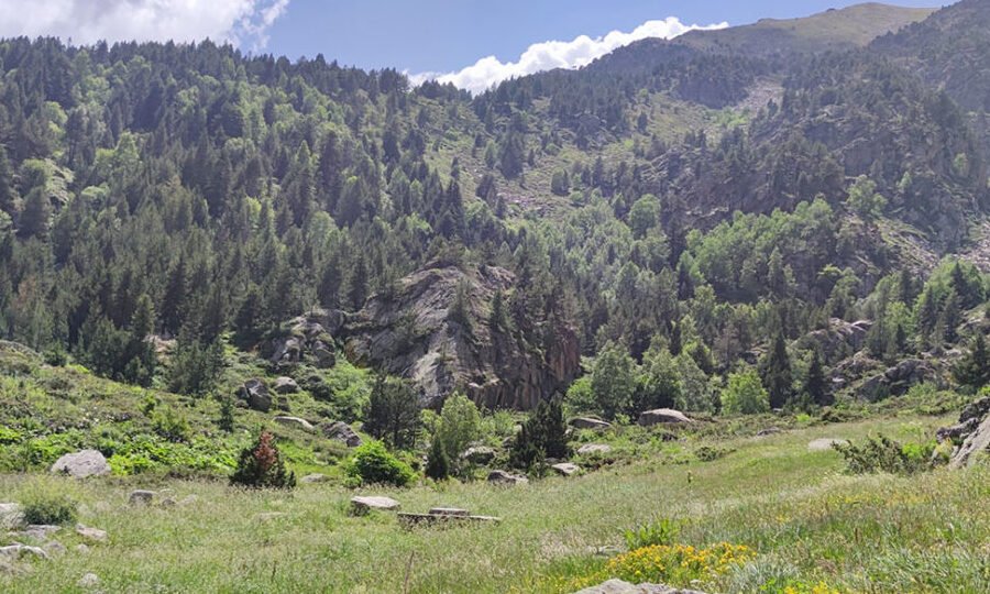 Trail Las Palomas Subida Vertical