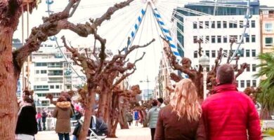 Cross San Sebastian Puerto Real