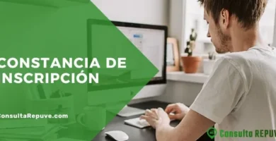Dónde Encontrar El Número De Constancia De Inscripción