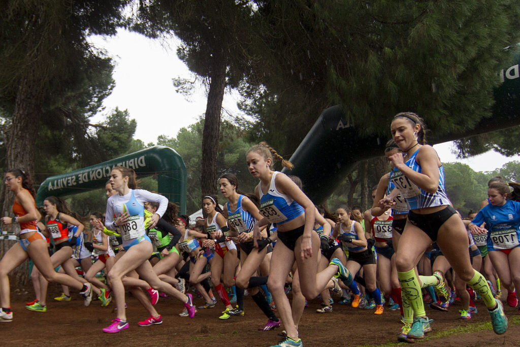 Circuito Provincial Campo A Traves Diputacion Sevilla