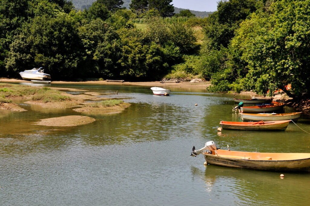 Travesia Marismas Odiel