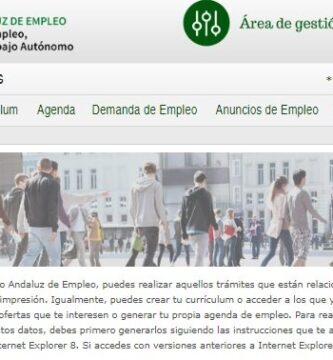 Fechas De Inscripción SAE: Periodos, Requisitos Y Calendario