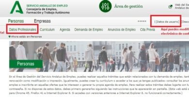 Fechas De Inscripción SAE: Periodos, Requisitos Y Calendario