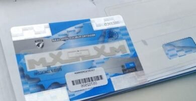 Folio De Constancia De Inscripción Vehicular: Guía Y Trámites