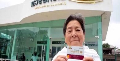 Guía De Inscripción A Programas De Bienestar Para Adultos Mayores