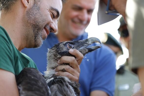Guía De Inscripción Del Quebrantahuesos: Paso A Paso
