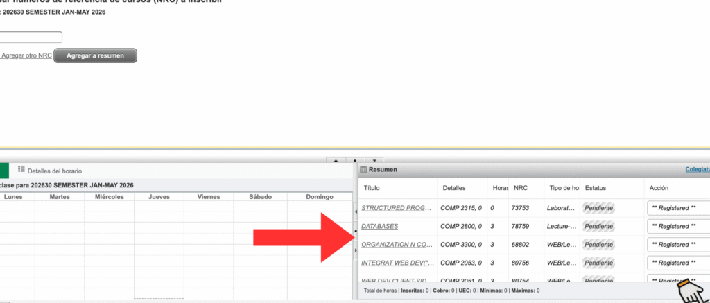 Guía De Inscripción En Escuelas: Requisitos, Plazos Y Matrícula