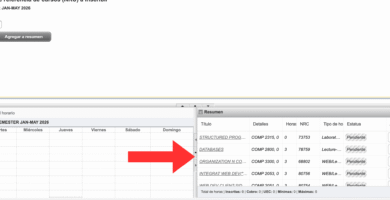 Guía De Inscripción En Escuelas: Requisitos, Plazos Y Matrícula