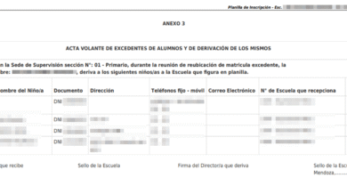 Guía De Inscripción En Primaria: Requisitos, Documentos Y Fechas De Matrícula