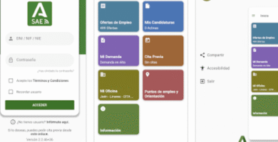 Guía De Inscripción SAE: Requisitos, Pasos Y Plazos