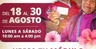 Guía Para Inscribirse En La Pensión Bienestar: Requisitos Y Pasos