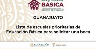 Inscripción A La Beca Bienestar: Requisitos, Plazos Y Pasos
