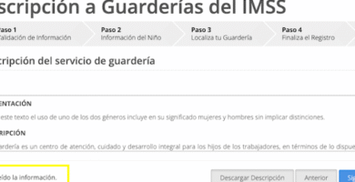 Inscripción A La Guardería Del IMSS: Requisitos Y Pasos