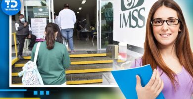 Inscripción A La Guardería IMSS: Requisitos Y Pasos