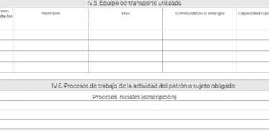 Inscripción Administrativa En La Seguridad Social: Trámites Y Requisitos