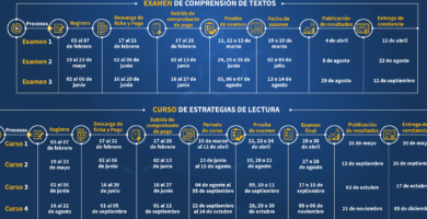 Inscripción Al Centro De Idiomas UV: Requisitos Y Pasos