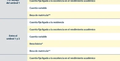 Inscripción Al Grado Medio GENCAT: Requisitos Y Plazos FP