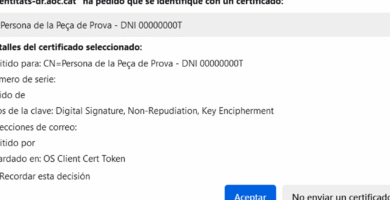 Inscripción Al Grado Superior Gencat: Requisitos, Plazos Y Pasos